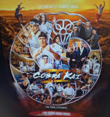 picture of computer screen with cobra kai