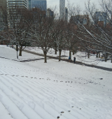 snow on steps by a park in Brooklyn