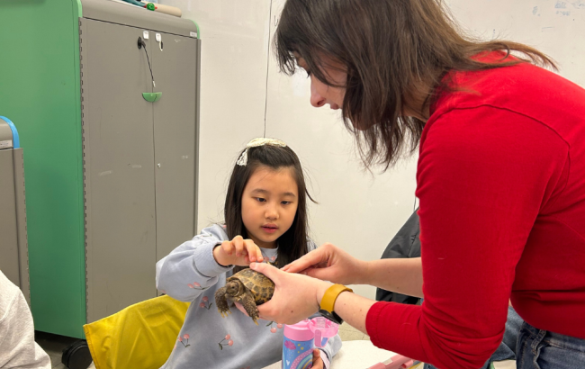 MSA student touching a tortoise that a staff person is holding for them