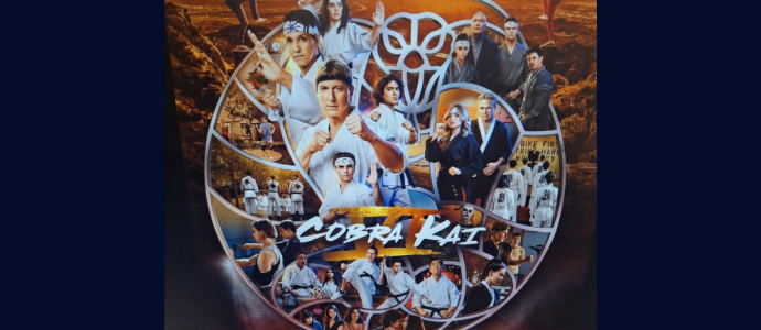 picture of computer screen with cobra kai