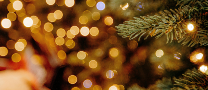 close up of part of a christmas tree with twinkly lights in the background
