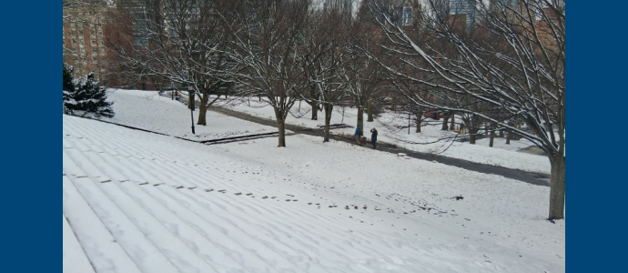 snow on steps by a park in Brooklyn