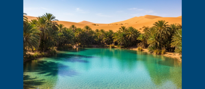 Turquoise river flowing through a palm oasis, with rows of tall palm trees along the banks and golden desert dunes rising in the background under a clear blue sky.