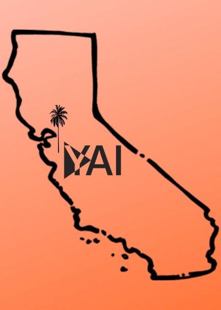 simple black outline of the state of California with a palm tree and YAI logo, on a red background